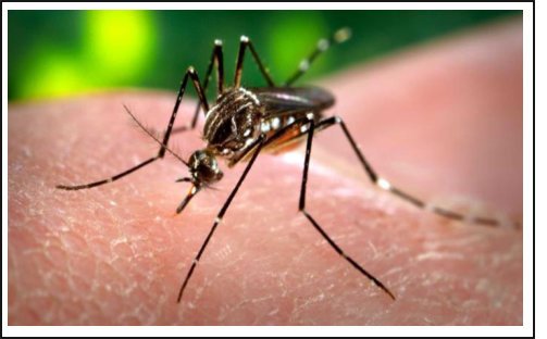 243 CASOS SOSPECHOSOS ES LA MENTIROSA “REALIDAD” DEL SIKA EN CIÉNAGA