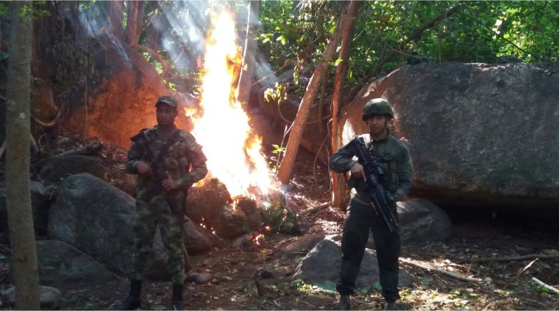 Ejército Nacional destruye droga en jurisdicción de Ciénaga