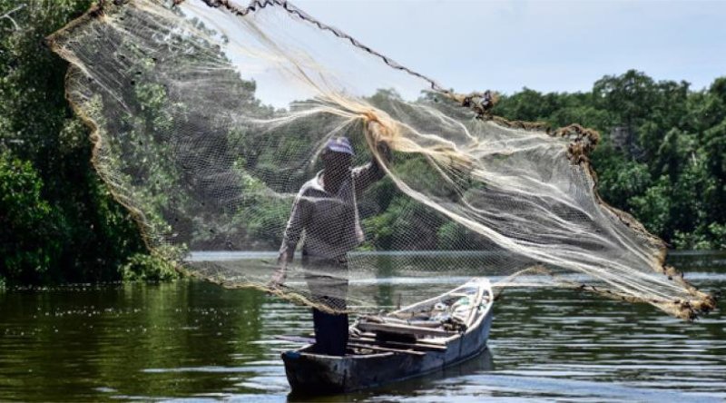 Pescadores están escépticos con cantos de sirenas y proyectos para recuperar la Ciénaga Grande