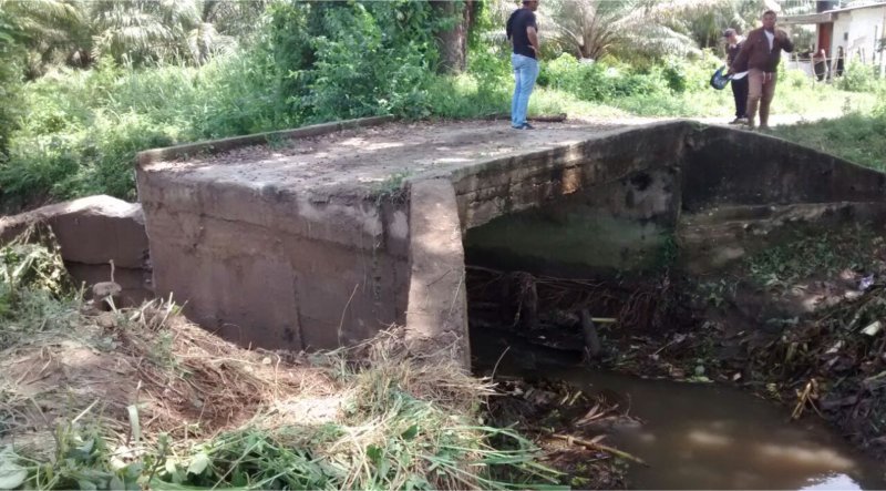 Reconstrucción de un puente que interconecta la región exigen campesinos de Sevillano