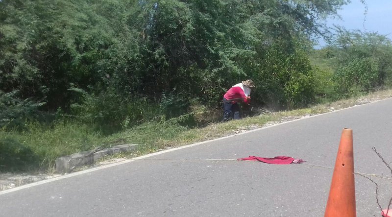 En vía Ciénaga-Sevillano, parceleros limpian monte y señales de transito