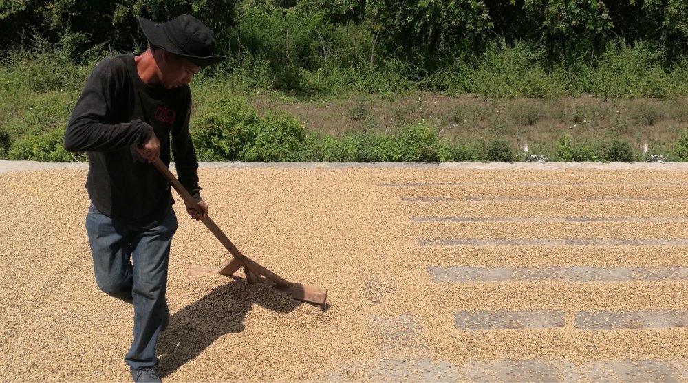 En Magdalena, la URT está fortaleciendo las ideas productivas de las familias restituidas