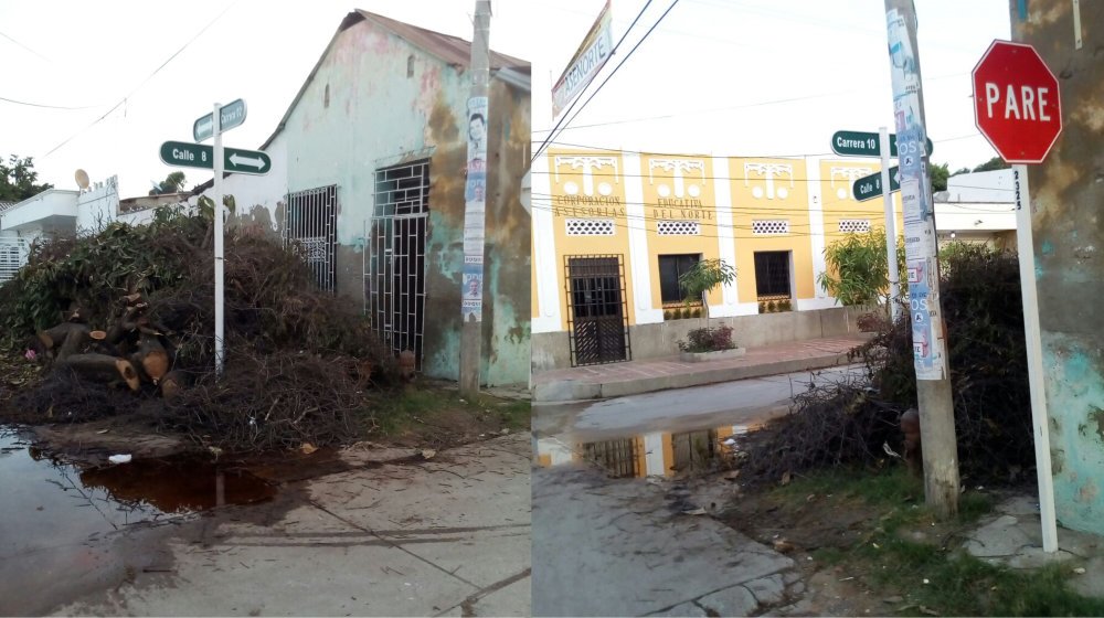 Cortaron un árbol y dejaron la basura como adorno de la carrera 10 con calle 8 de Ciénaga