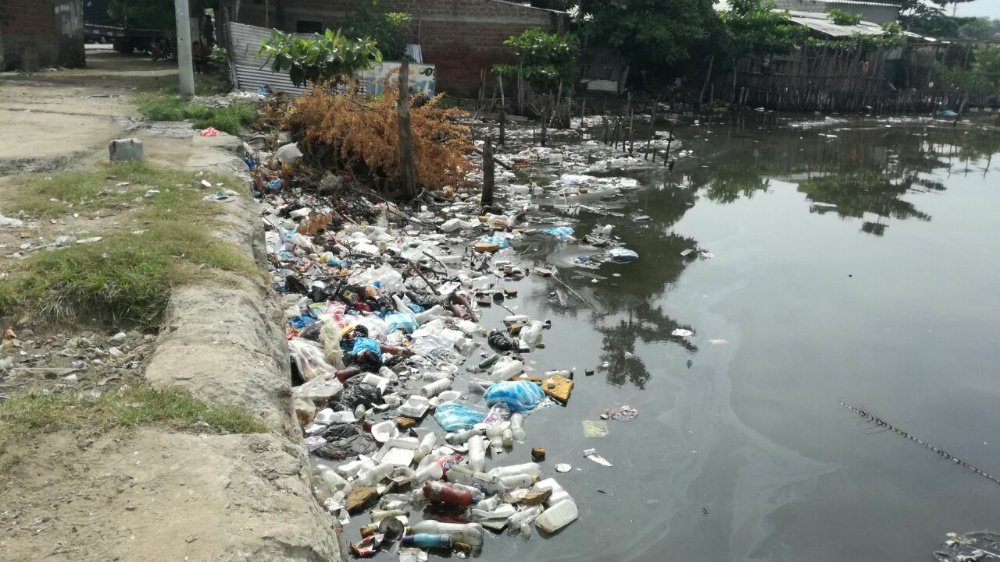 Alerta en Ciénaga Grande, sector de Puerto Nuevo por indiscriminado arrojo de basuras