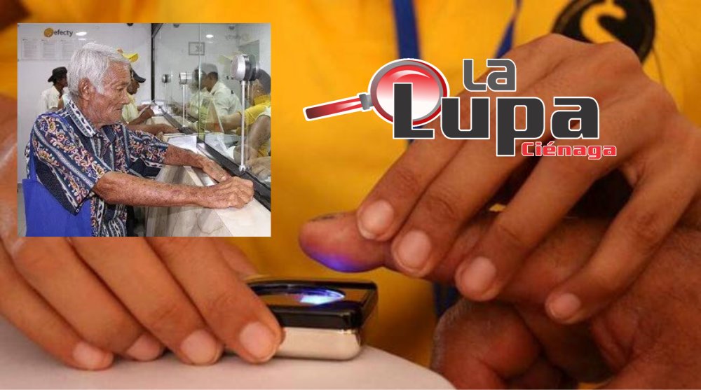 Todo listo para tercer pago de Colombia Mayor en Ciénaga