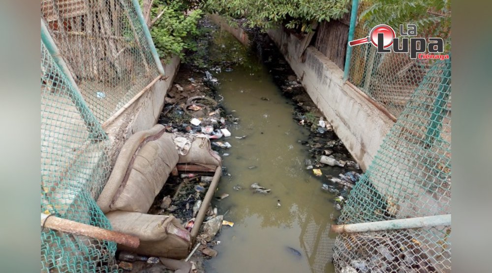 Canales de desagüe en Ciénaga están colapsados de basuras: secretaria de gobierno hace llamado a la ciudadanía