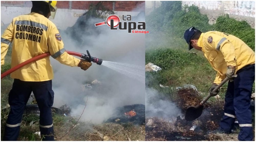 Bomberos Ciénaga “liquidan” incendio de cobertura vegetal en La Floresta