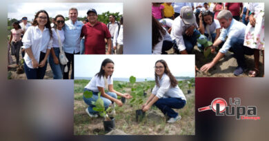 Proyecto “Uvita de Playa” del Semillero de Investigación de la I.E.T.C. Virginia Gómez de Ciénaga, se ejecuta con recursos del Ministerio de Ambiente y Desarrollo Sostenible.
