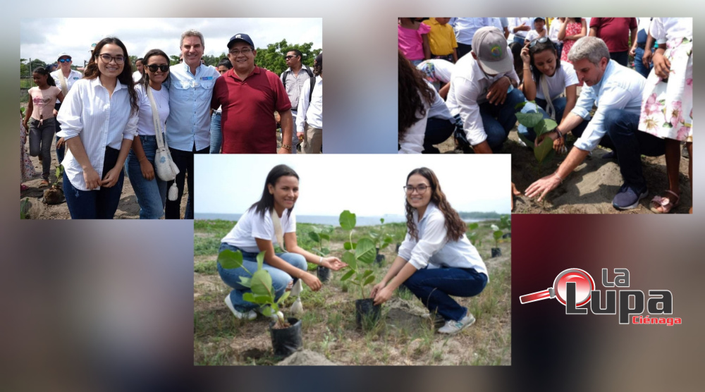 Proyecto “Uvita de Playa” del Semillero de Investigación de la I.E.T.C. Virginia Gómez de Ciénaga, se ejecuta con recursos del Ministerio de Ambiente y Desarrollo Sostenible.