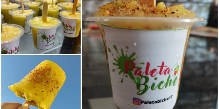 Las paletas de mango biche llegaron a acompañar tus tardes.