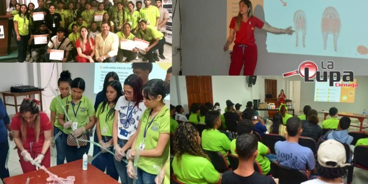 Estudiantes de Producción Agropecuaria Sostenible y Administración de Agronegocios desarrollan habilidades de inseminación artificial en porcinos