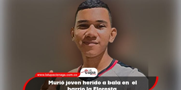 Murió joven herido a bala en  el barrio la Floresta. 