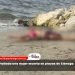 Hallada una mujer muerta en playas de Ciénaga