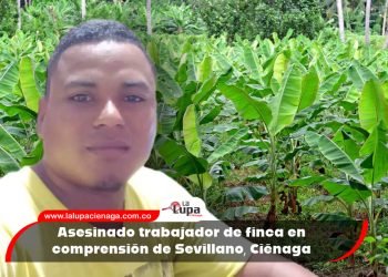Asesinado trabajador de finca en comprensión de Sevillano, Ciénaga 