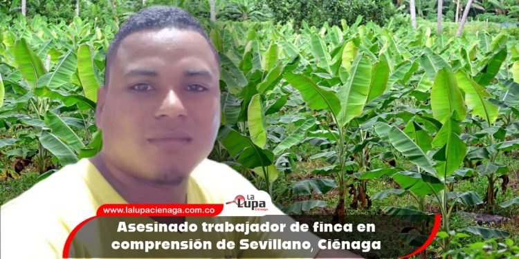Asesinado trabajador de finca en comprensión de Sevillano, Ciénaga 