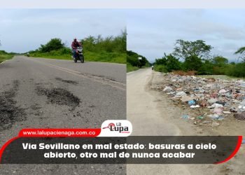 Vía Sevillano en mal estado: basuras a cielo abierto, otro mal de nunca acabar