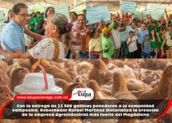 Con la entrega de 11.500 gallinas ponedoras a la comunidad campesina, Gobernador Rafael Martínez materializa la creación de la empresa agroindustrial más fuerte del Magdalena