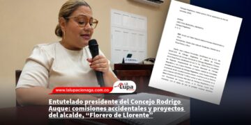 Entutelado presidente del Concejo Rodrigo Auque: comisiones accidentales y proyectos del alcalde, “Florero de Llorente”